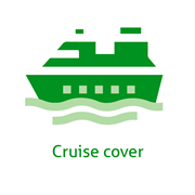 Cruise cover