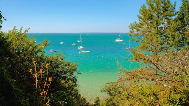 Wightlink_Tropical_Island_Getaway