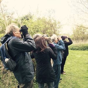 Birdwatchers