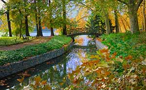 Riverside scene in autumn in Lyon's Parc Tete d'Or