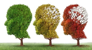 Image of 3 trees in the shape of a head. With green leaves on the left to losing leaves and brown leaves on the right depicting Alzheimers
