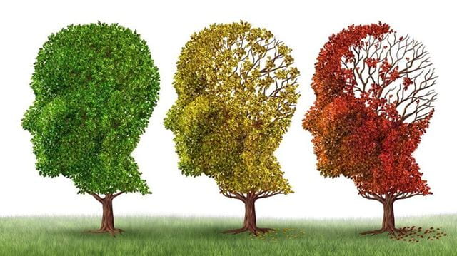 Image of 3 trees in the shape of a head. With green leaves on the left to losing leaves and brown leaves on the right depicting Alzheimers