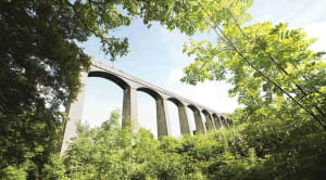 Aqueduct photo taken through the trees