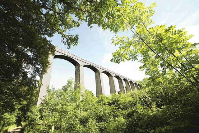Aqueduct photo taken through the trees