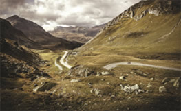 Go further