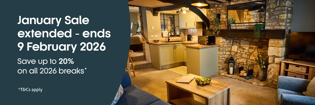 2026 January Sale now on!