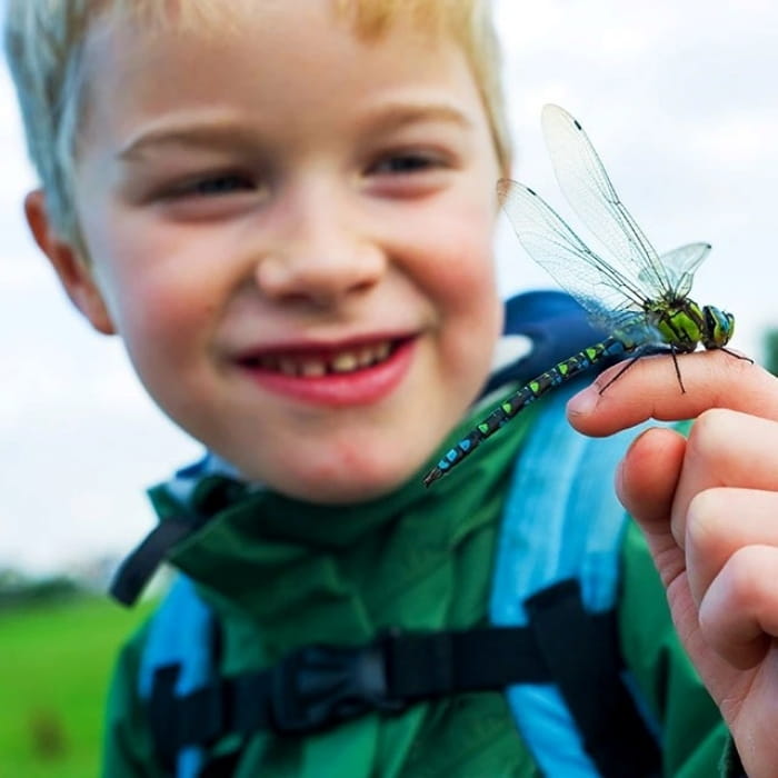 Child with dragonfly