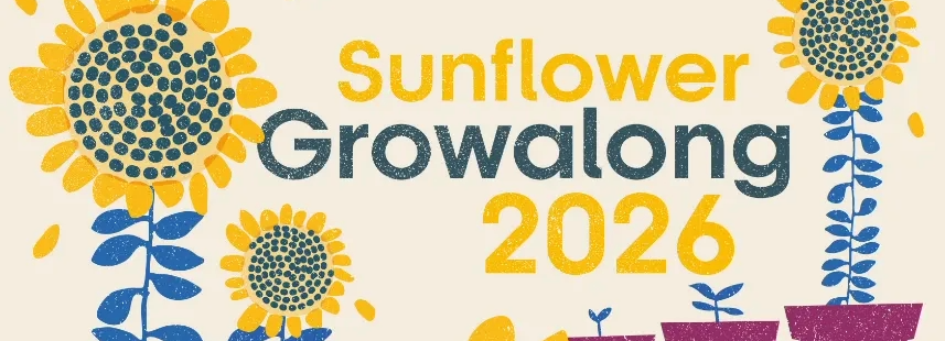Sunflower Growalong 2026