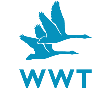 WWT logo